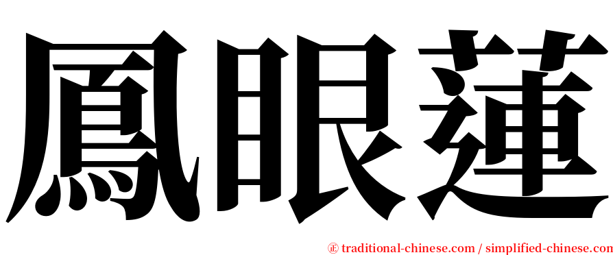 鳳眼蓮 serif font