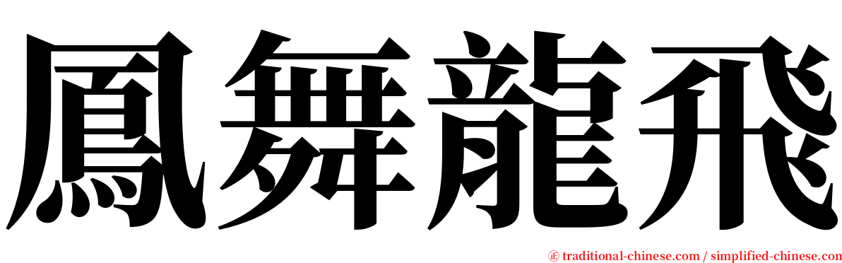 鳳舞龍飛 serif font