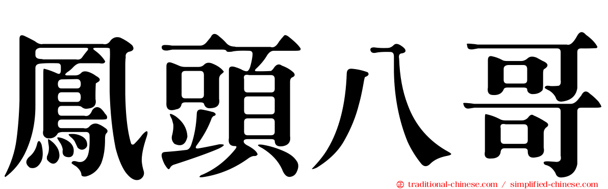 鳳頭八哥