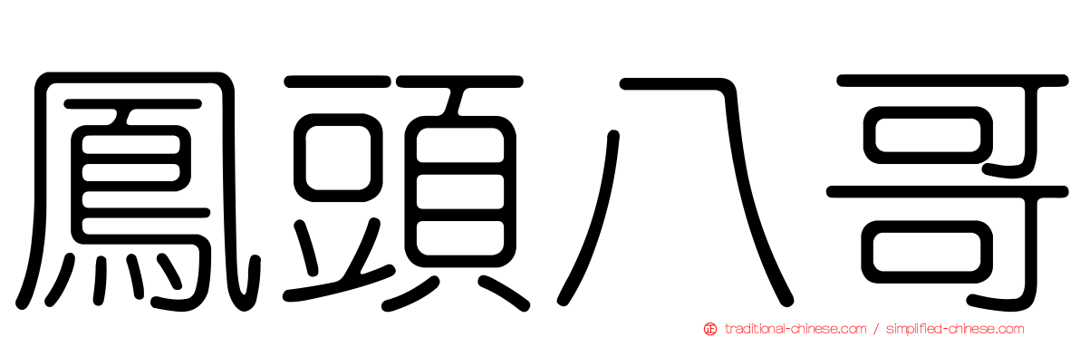 鳳頭八哥