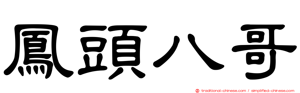 鳳頭八哥