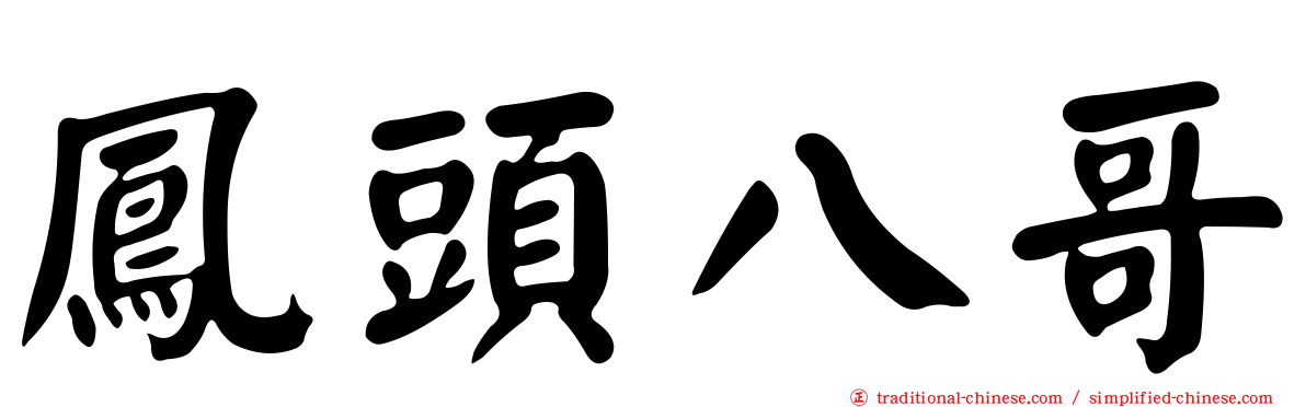 鳳頭八哥