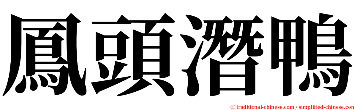 鳳頭潛鴨 serif font