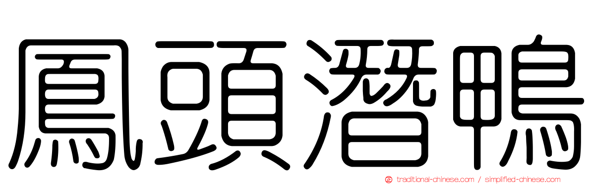 鳳頭潛鴨