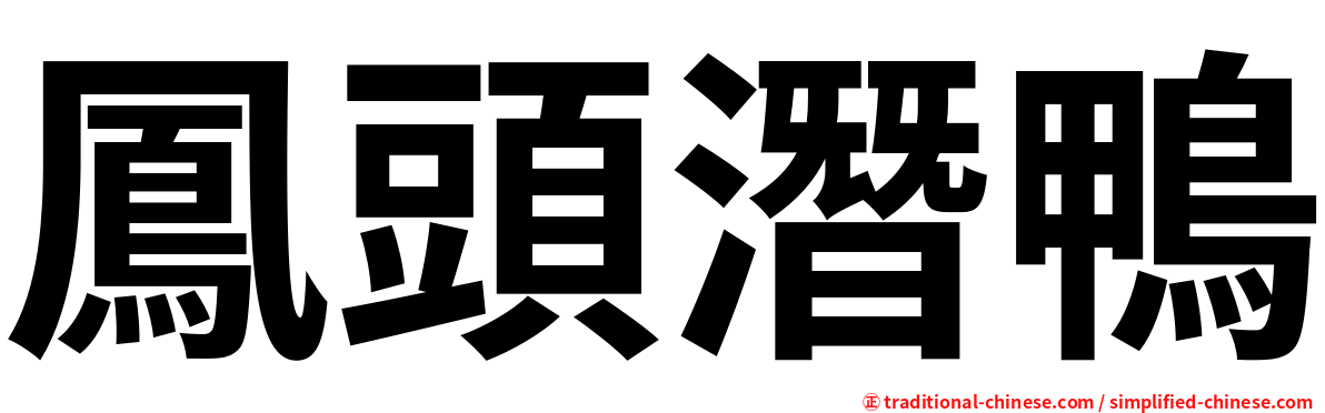 鳳頭潛鴨