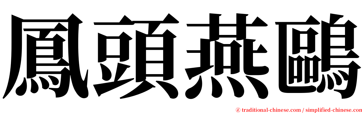 鳳頭燕鷗 serif font