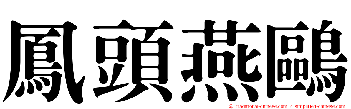 鳳頭燕鷗