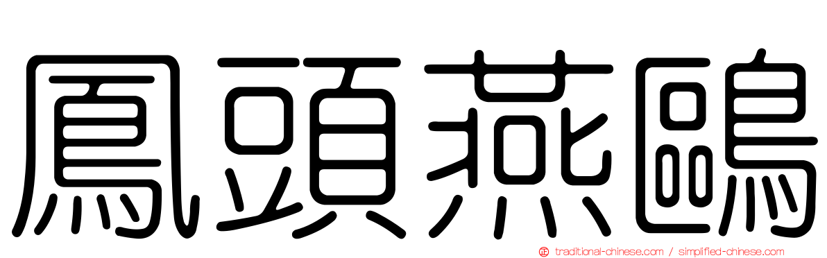 鳳頭燕鷗