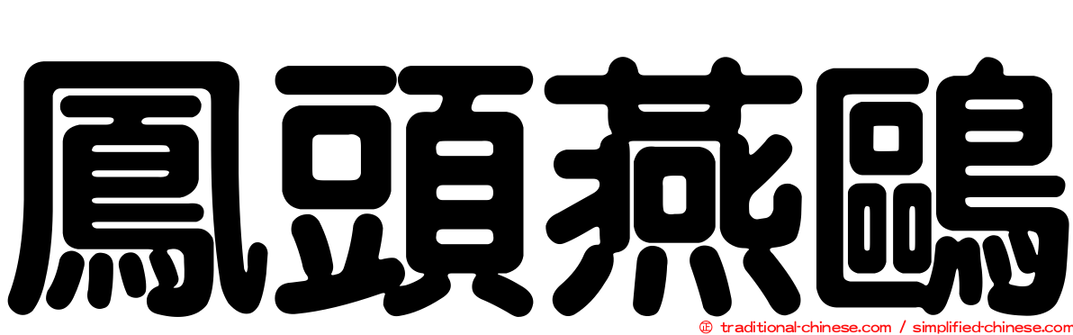 鳳頭燕鷗