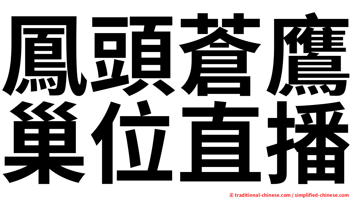 鳳頭蒼鷹巢位直播