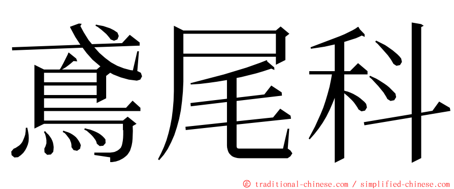 鳶尾科 ming font