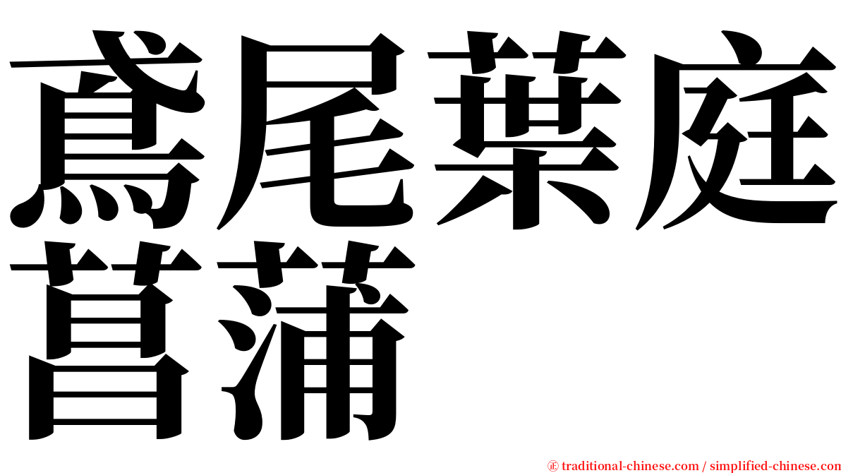 鳶尾葉庭菖蒲 serif font