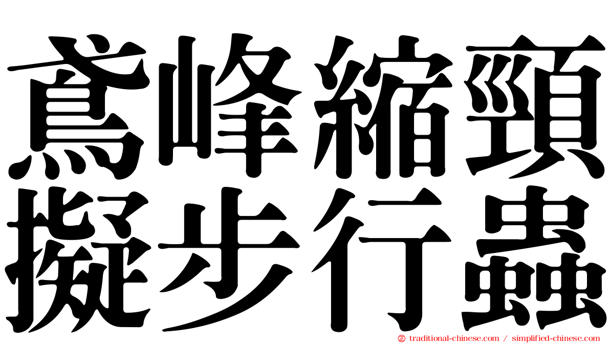 鳶峰縮頸擬步行蟲