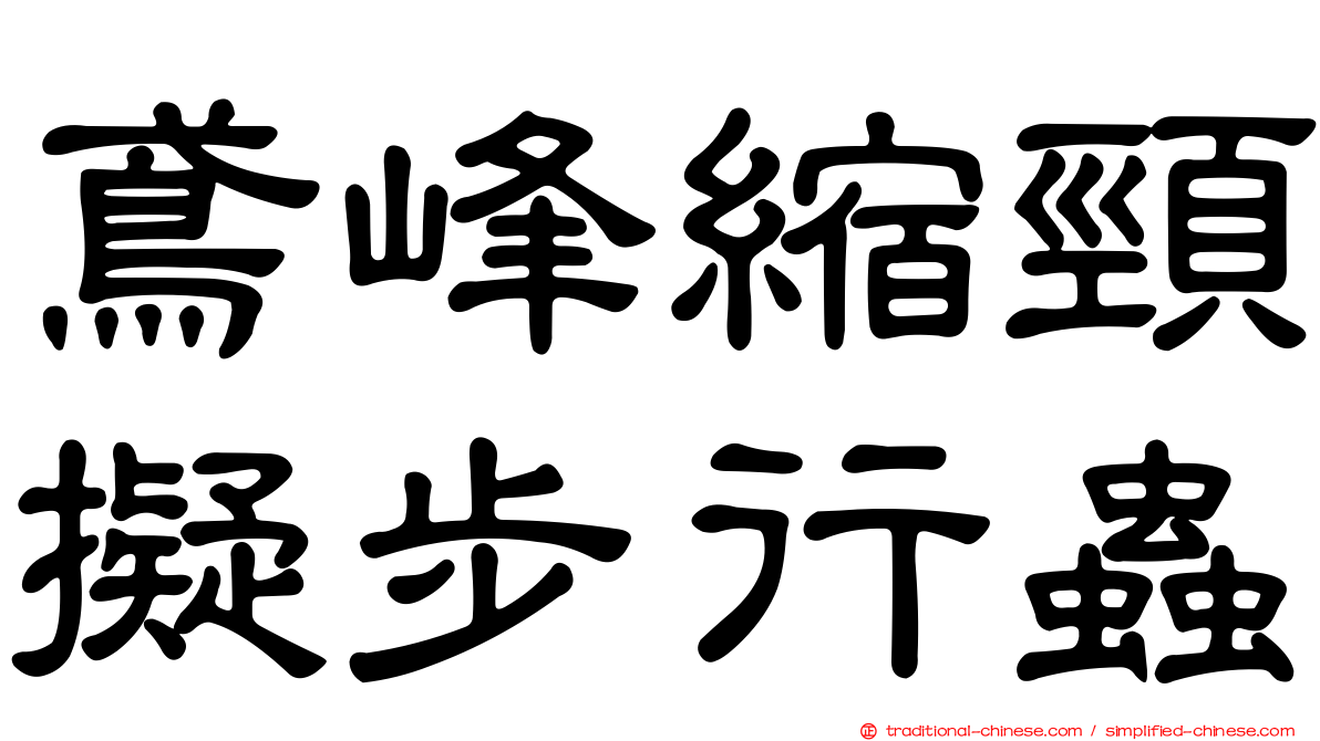 鳶峰縮頸擬步行蟲