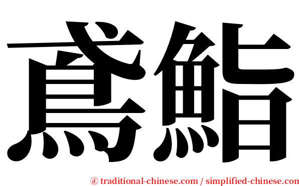 鳶鮨 serif font