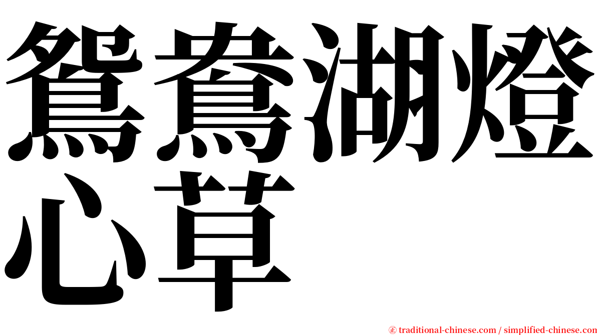 鴛鴦湖燈心草 serif font