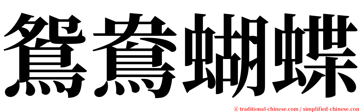 鴛鴦蝴蝶 serif font