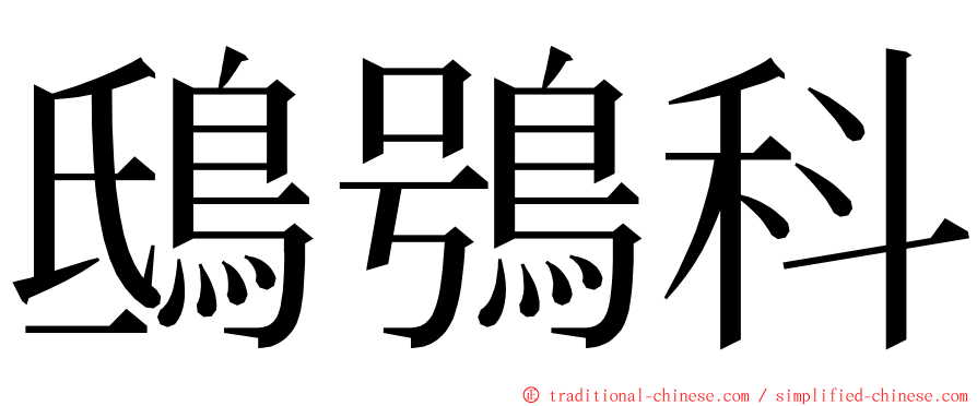 鴟鴞科 ming font