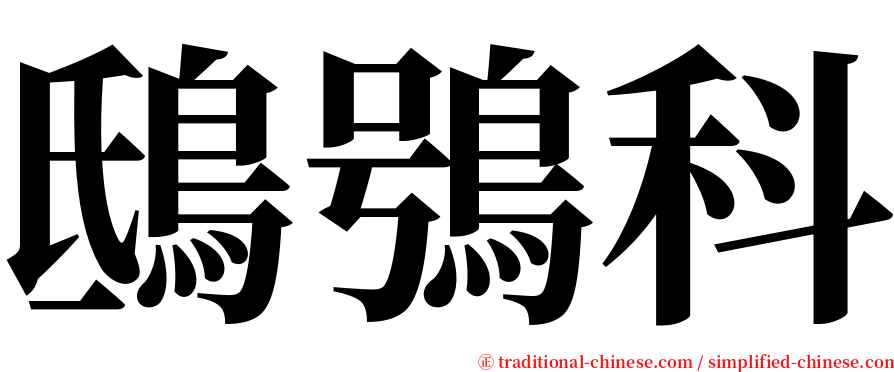 鴟鴞科 serif font