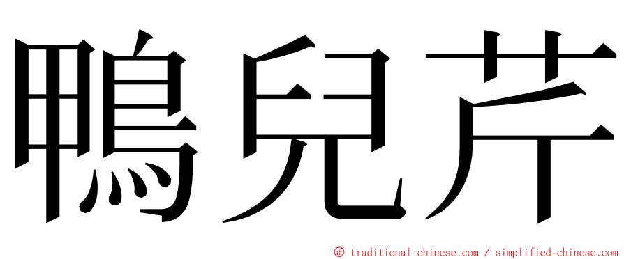 鴨兒芹 ming font