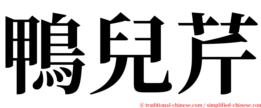 鴨兒芹 serif font