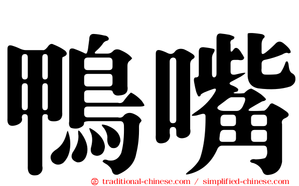 鴨嘴