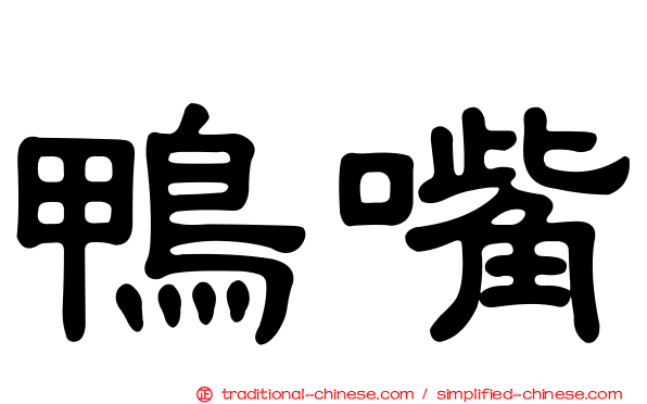 鴨嘴