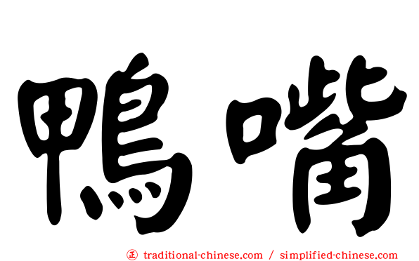 鴨嘴