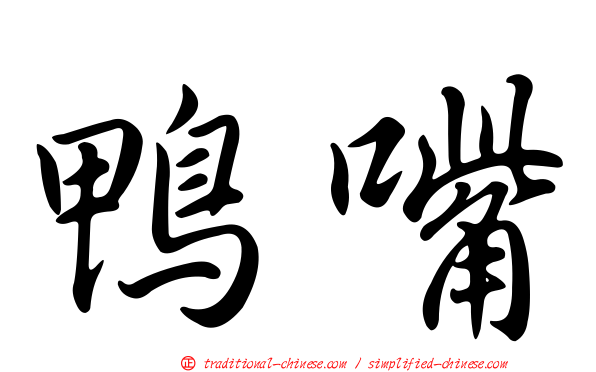 鴨嘴