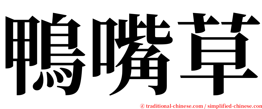 鴨嘴草 serif font