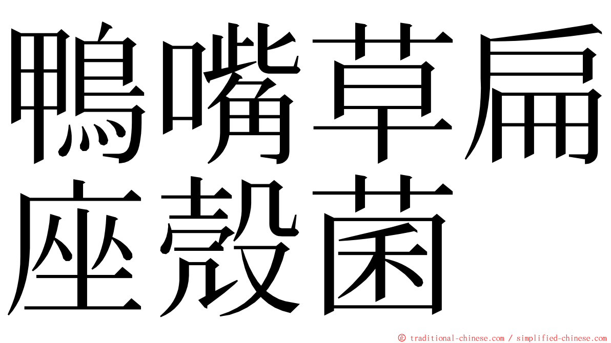鴨嘴草扁座殼菌 ming font