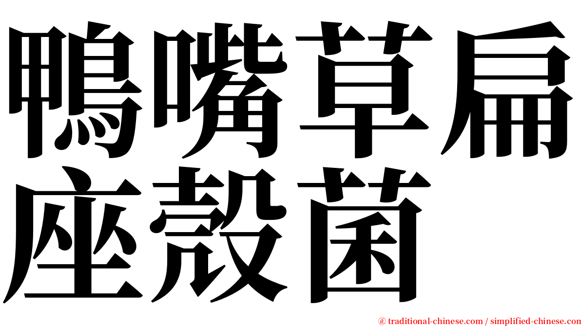 鴨嘴草扁座殼菌 serif font