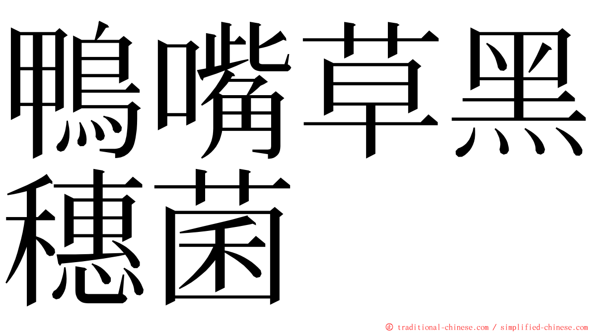 鴨嘴草黑穗菌 ming font