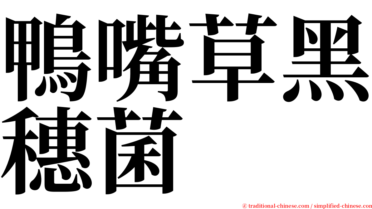 鴨嘴草黑穗菌 serif font