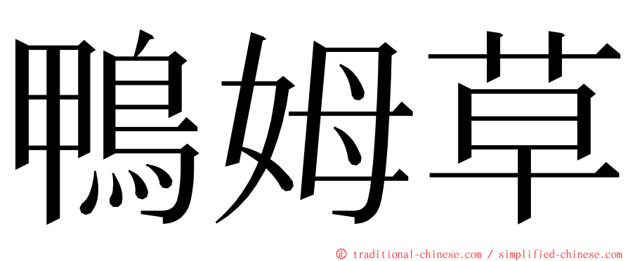 鴨姆草 ming font