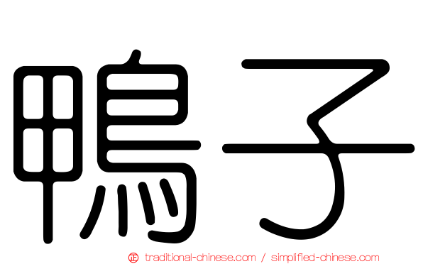 鴨子