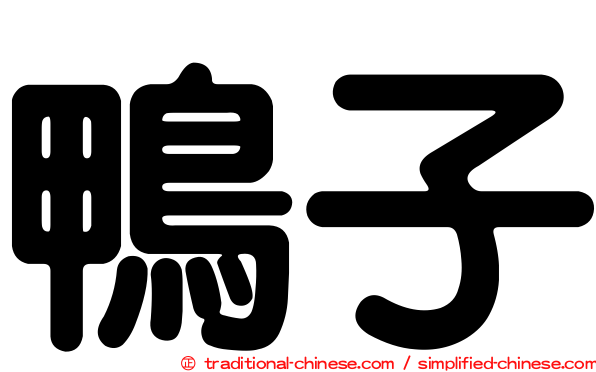 鴨子