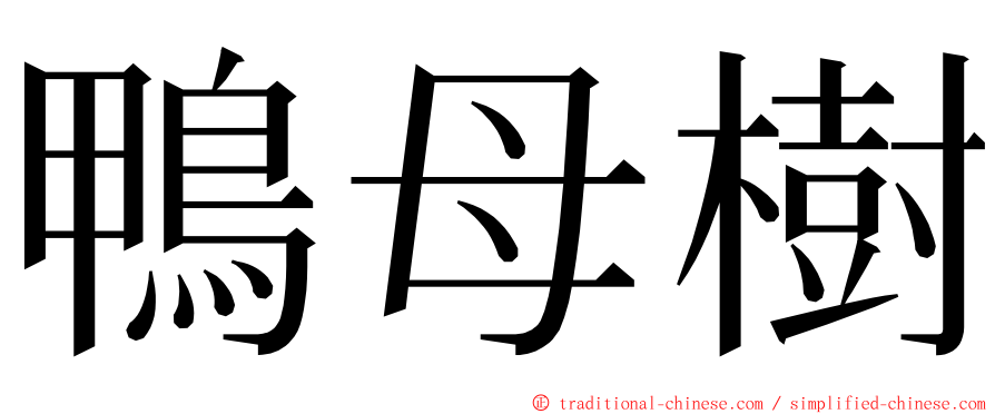 鴨母樹 ming font