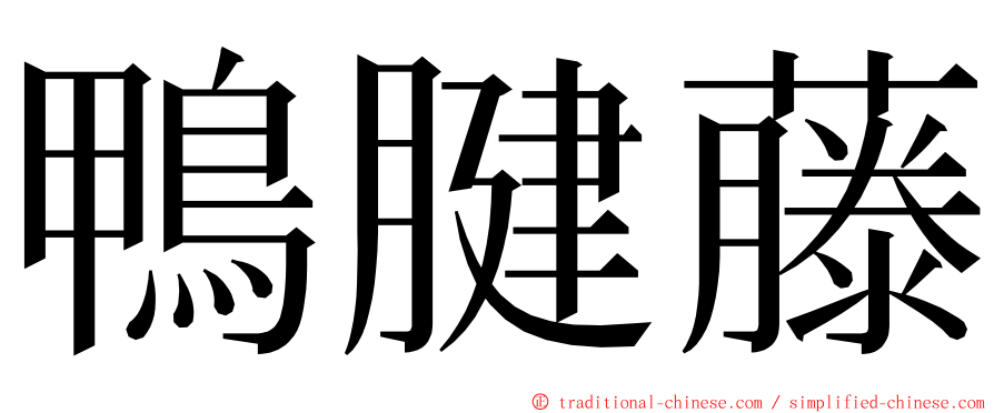 鴨腱藤 ming font