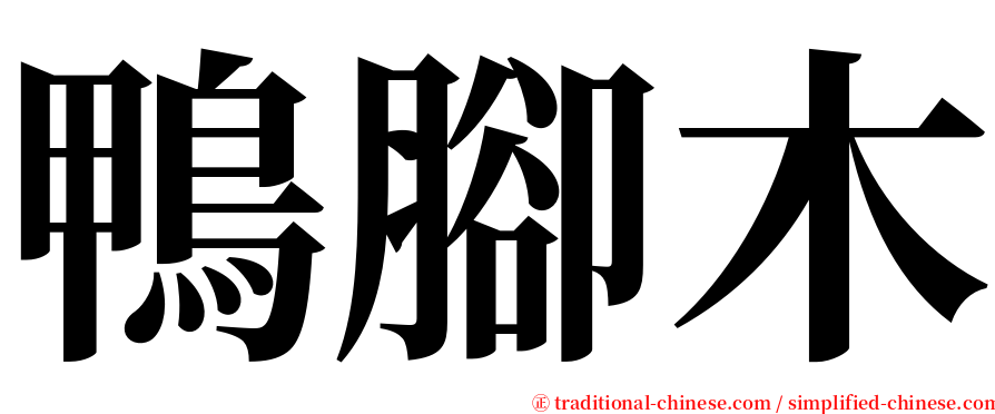 鴨腳木 serif font