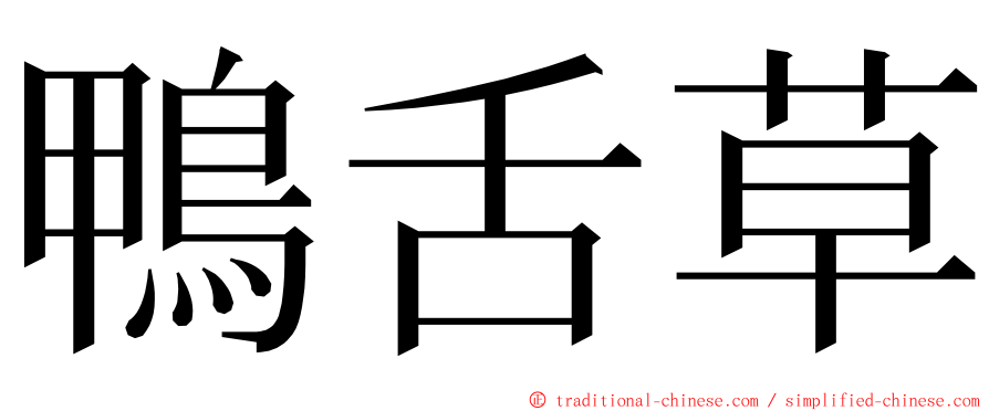 鴨舌草 ming font