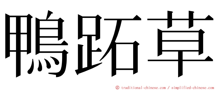 鴨跖草 ming font