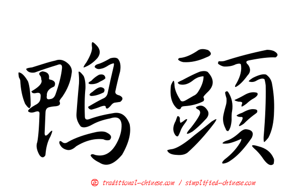 鴨頭