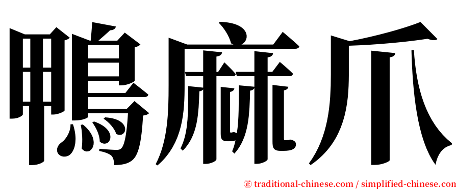 鴨麻爪 serif font