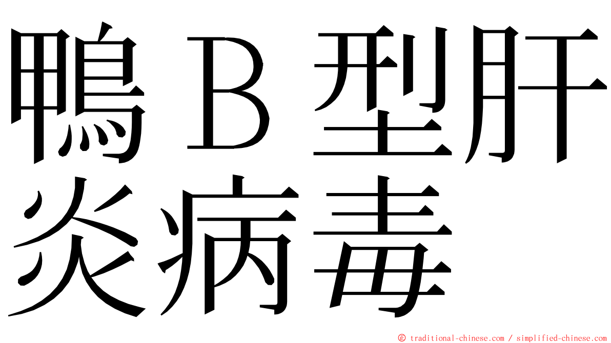 鴨Ｂ型肝炎病毒 ming font