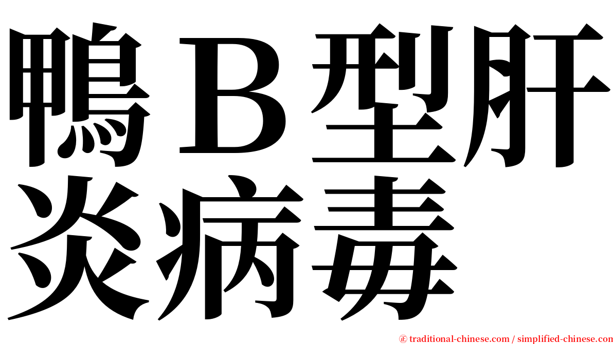 鴨Ｂ型肝炎病毒 serif font