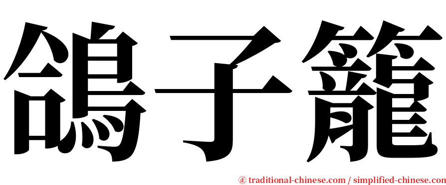 鴿子籠 serif font