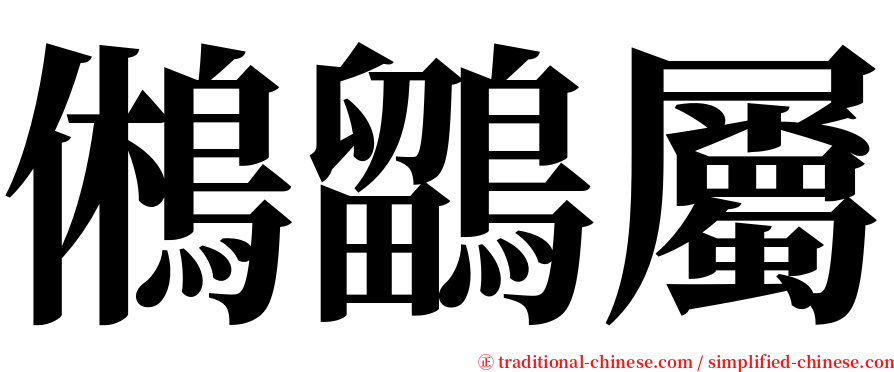 鵂鶹屬 serif font