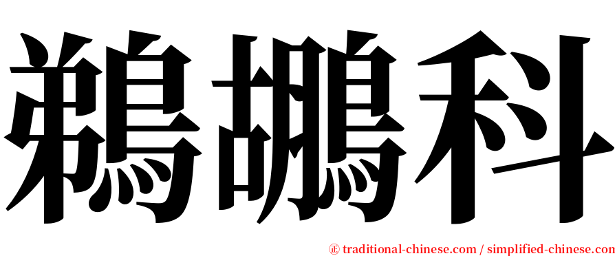 鵜鶘科 serif font