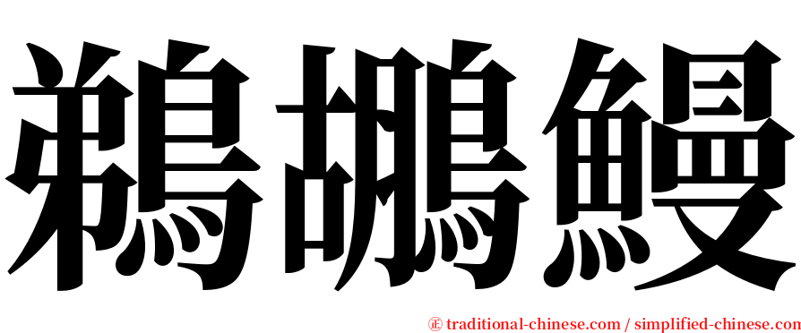 鵜鶘鰻 serif font